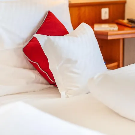 Friese Hotel 3*