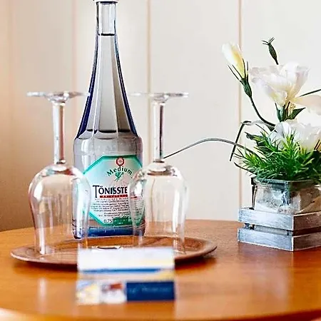 Hotel Friese 3*